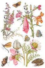 Load image into Gallery viewer, Primrose Isle Transfer™ by IOD (Pad of 8 - 8"x12" sheets)
