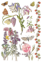 Load image into Gallery viewer, Primrose Isle Transfer™ by IOD (Pad of 8 - 8"x12" sheets)
