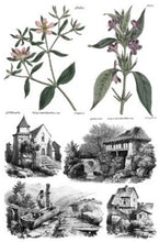 Load image into Gallery viewer, Saint Ouen Transfer™ by IOD (Pad of 8 - 8"x12" sheets)
