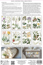 Load image into Gallery viewer, Sarah Featon&#39;s Botanicals IOD Transfer 8&quot;x12&quot; Pad (8 Sheets)
