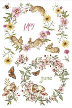 Load image into Gallery viewer, The Bramblewood Diaries IOD Transfer 8"x12" Pad (8 Sheets)
