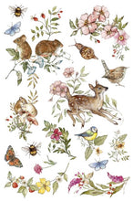 Load image into Gallery viewer, The Bramblewood Diaries IOD Transfer 8"x12" Pad (8 Sheets)
