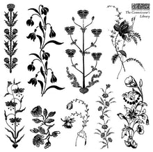Load image into Gallery viewer, IOD Summer 2026 - Stamp Bundle
