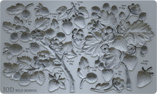 Load image into Gallery viewer, Wild Berries 6X10 IOD Mould
