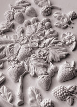 Load image into Gallery viewer, Wild Berries 6X10 IOD Mould
