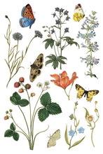 Load image into Gallery viewer, Wilde Bloemen Transfer™ by IOD (Pad of 8 - 8&quot;x12&quot; sheets)
