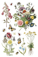 Load image into Gallery viewer, Wilde Bloemen Transfer™ by IOD (Pad of 8 - 8&quot;x12&quot; sheets)
