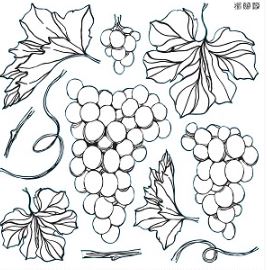 Grapes 12x12 IOD Stamp