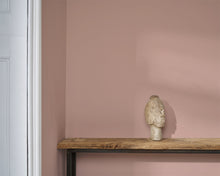 Load image into Gallery viewer, Piranesi Pink Annie Sloan Wall Paint®
