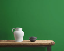 Load image into Gallery viewer, Schinkel Green Annie Sloan Wall Paint®
