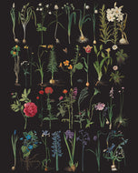 Annie Sloan Decoupage Papers