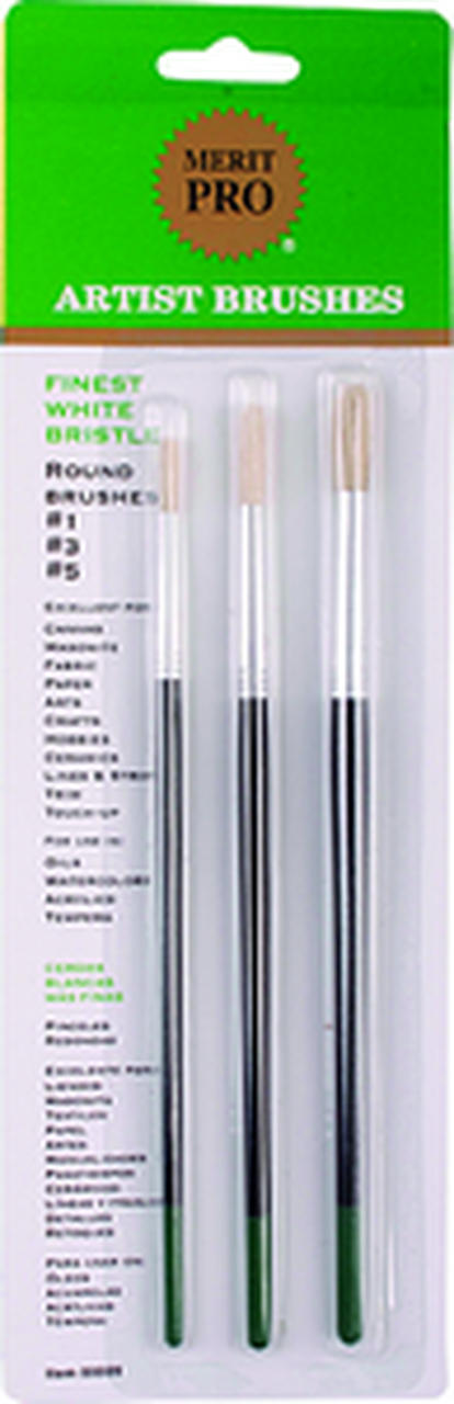 Merit Pro Artist Brush Set