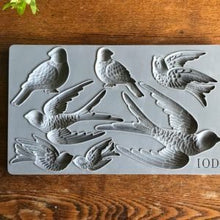 Load image into Gallery viewer, Iron Orchid Designs Birdsong Decor Moulds (6x10) 
