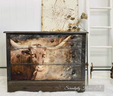 Load image into Gallery viewer, Texas Longhorn - Mint by Michelle Decoupage Paper
