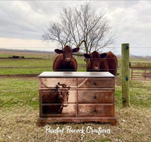 Load image into Gallery viewer, Texas Longhorn - Mint by Michelle Decoupage Paper
