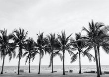 Load image into Gallery viewer, Palm Trees - Mint by Michelle Decoupage Paper
