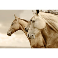 Sepia Horses REVERSED - Mint by Michelle Decoupage Paper