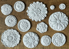 Load image into Gallery viewer, Rosettes 6X10 IOD Mould
