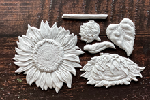 Load image into Gallery viewer, Sunflowers 6X10 IOD Mould
