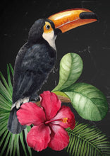 Load image into Gallery viewer, Toucan - Mint by Michelle Decoupage Paper
