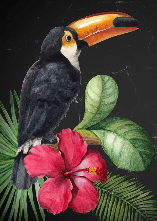 Toucan - Mint by Michelle Decoupage Paper