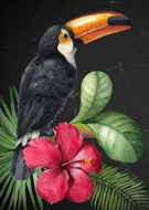 Toucan - Mint by Michelle Decoupage Paper