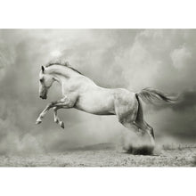 Load image into Gallery viewer, White Horse - Mint by Michelle Decoupage Paper
