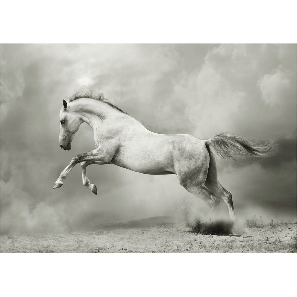 White Horse - Mint by Michelle Decoupage Paper