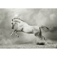 White Horse - Mint by Michelle Decoupage Paper