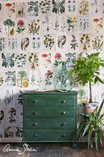 Load image into Gallery viewer, Annie Sloan Chalk Paint® Amsterdam Green
